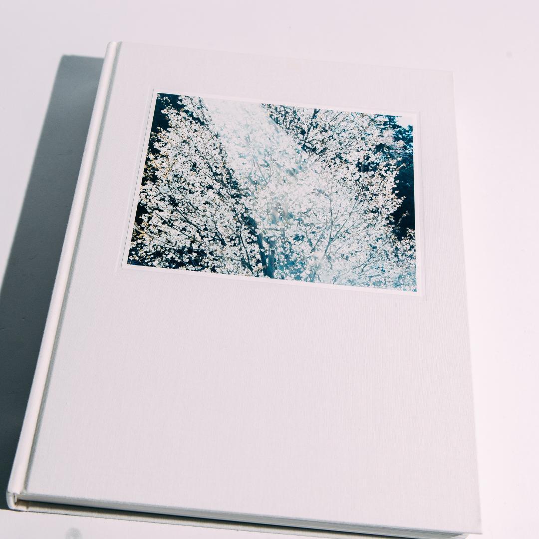 鈴木理策「Stream of consciousness」写真集