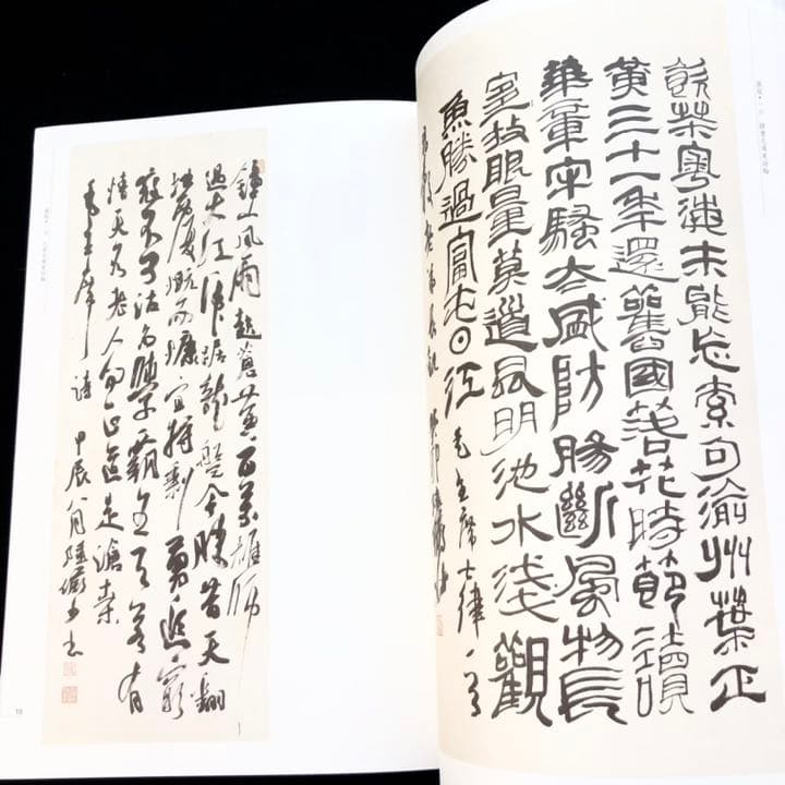 【中国書道】「陸儼少 - 海派代表書法家系列作品集」上海書画出版社