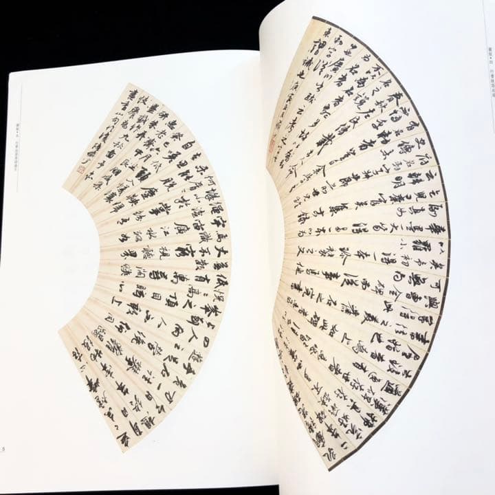 【中国書道】「陸儼少 - 海派代表書法家系列作品集」上海書画出版社