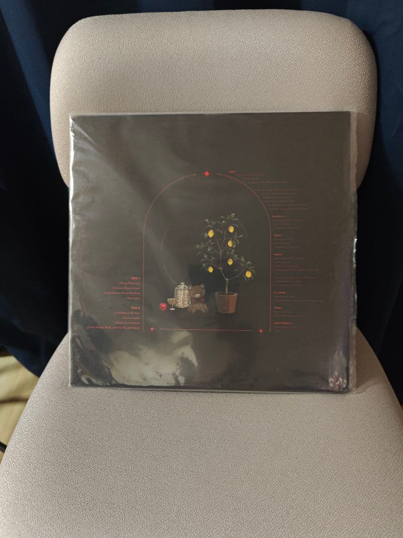 to kill a living book レコード　カセットテープ　CD