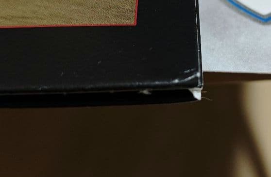 to kill a living book レコード　カセットテープ　CD