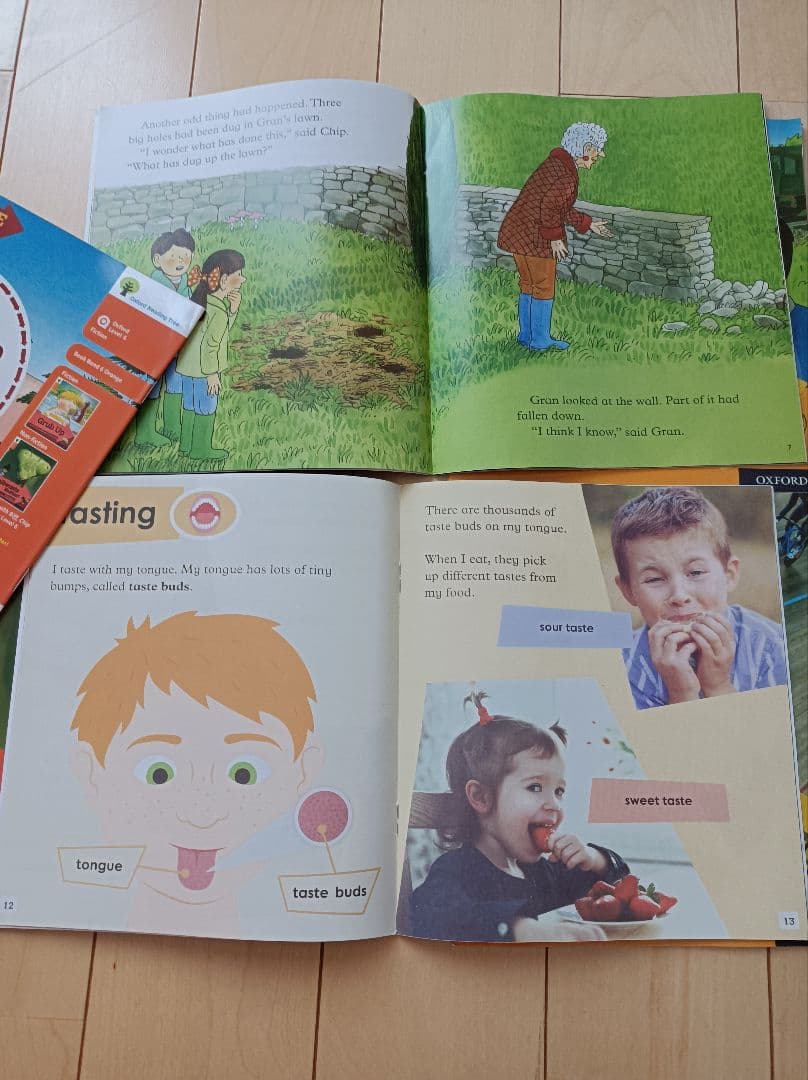 新春セールORT探索探求EXPLORE★58冊ORT