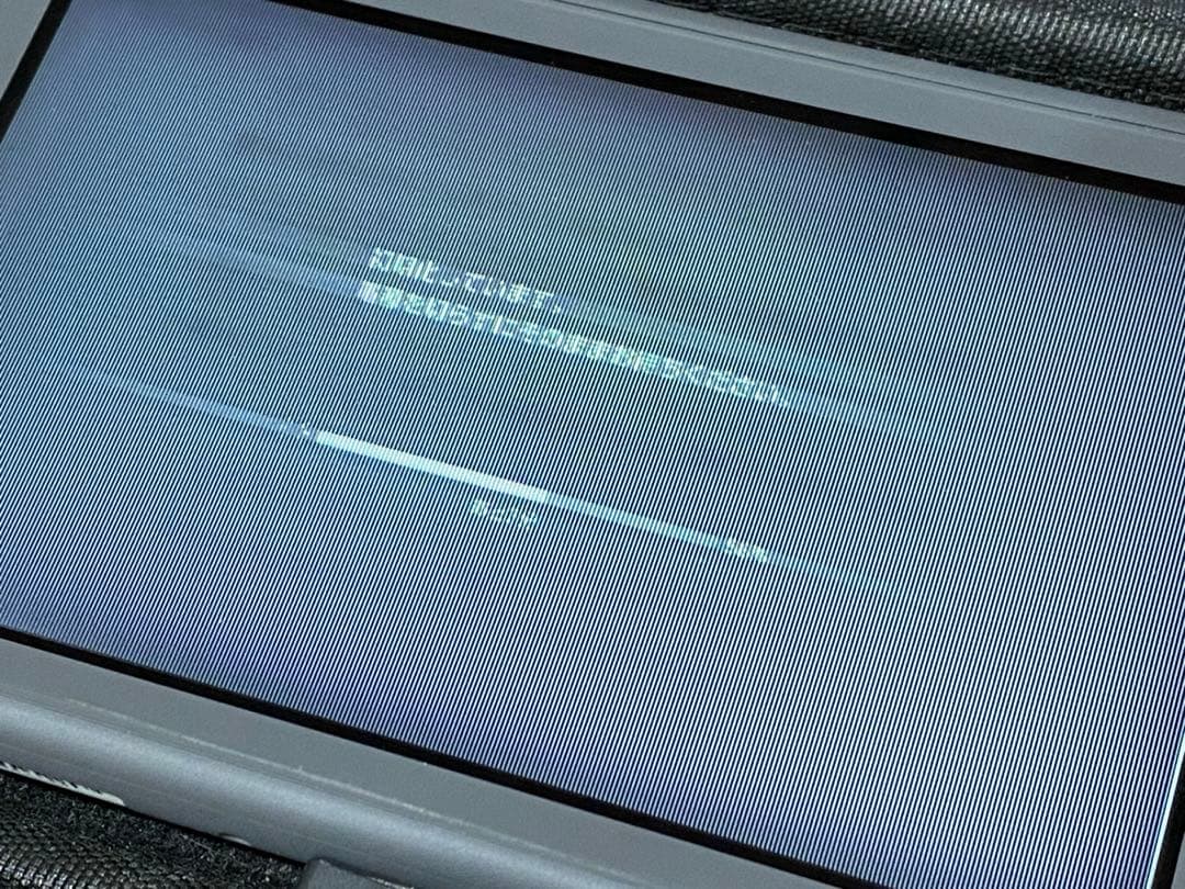 Nintendo Switch Lite グレー 専用ケース付き ジャンク品