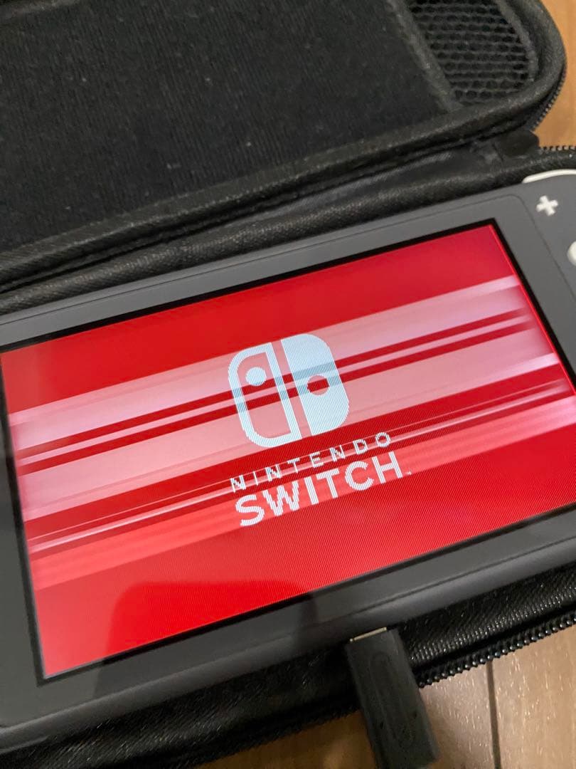 Nintendo Switch Lite グレー 専用ケース付き ジャンク品