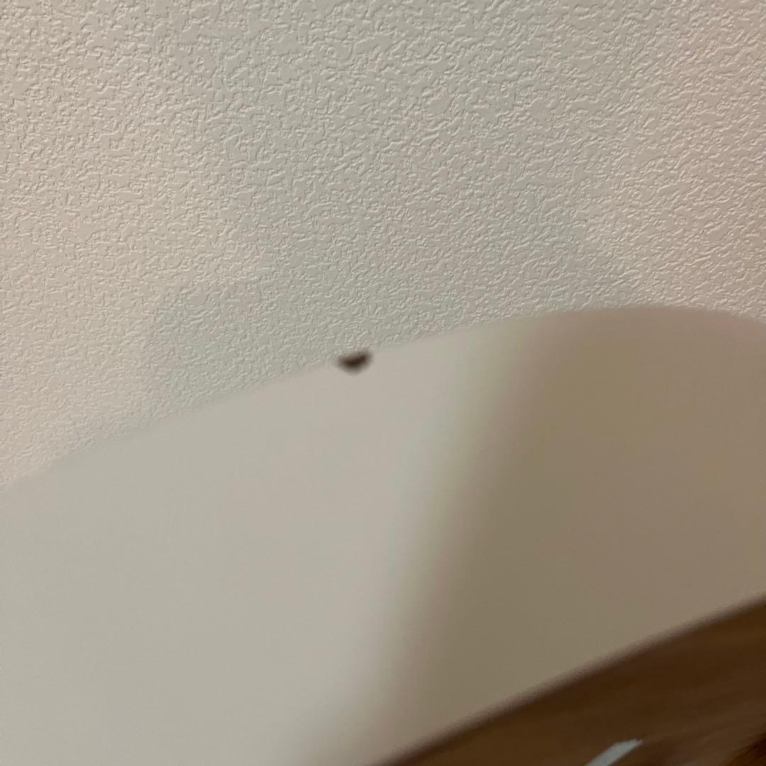 TEORI テオリ ミラー 新品・未使用品　Mサイズ　ホワイト　乳白