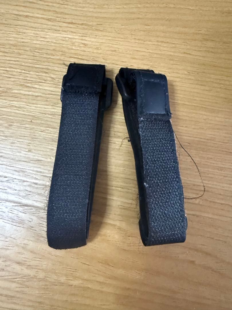 healy ヒーリー 波動調整器