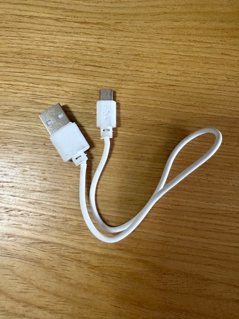 healy ヒーリー 波動調整器