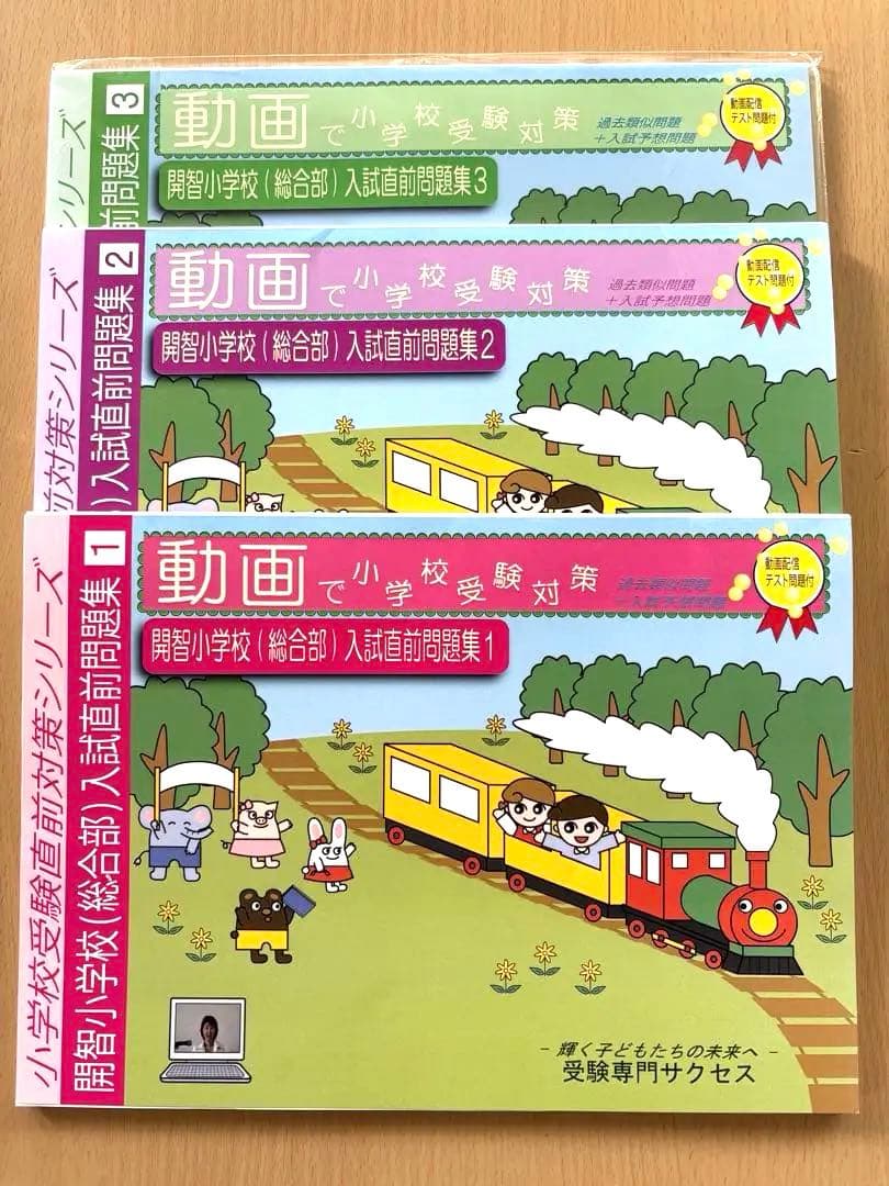 10/15迄の限定価格【未記入・美品】開智小学校 入試直前問題集DVD付 全3巻