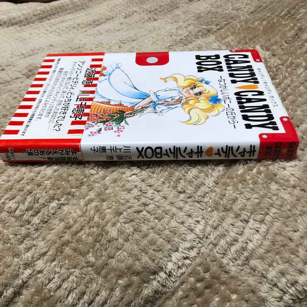 キャンディ キャンディボックス なつかしいポニーの丘から　希少