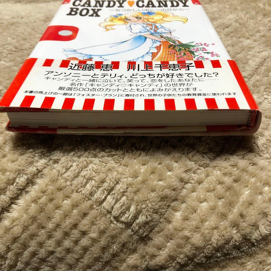 キャンディ キャンディボックス なつかしいポニーの丘から　希少