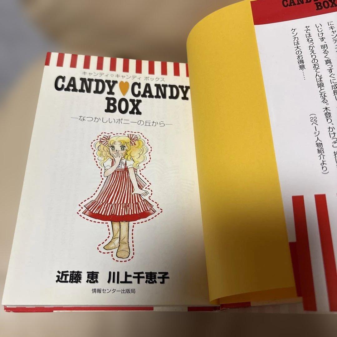 キャンディ キャンディボックス なつかしいポニーの丘から　希少