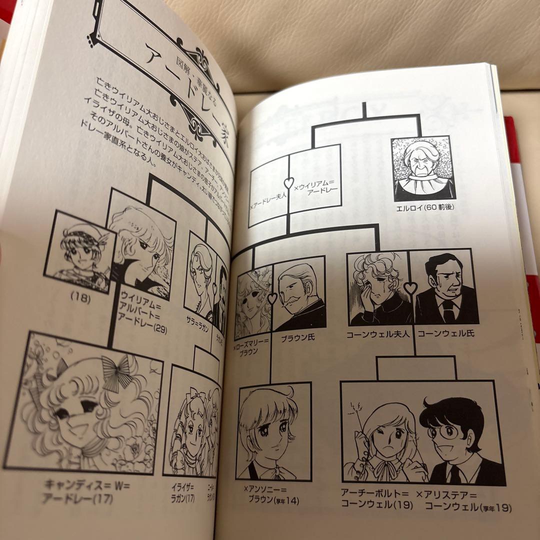 キャンディ キャンディボックス なつかしいポニーの丘から　希少