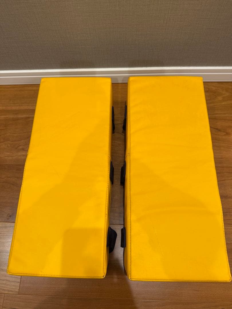 【国産】イサミ/ISAMI 空手キックミット 黄色（2個セット）