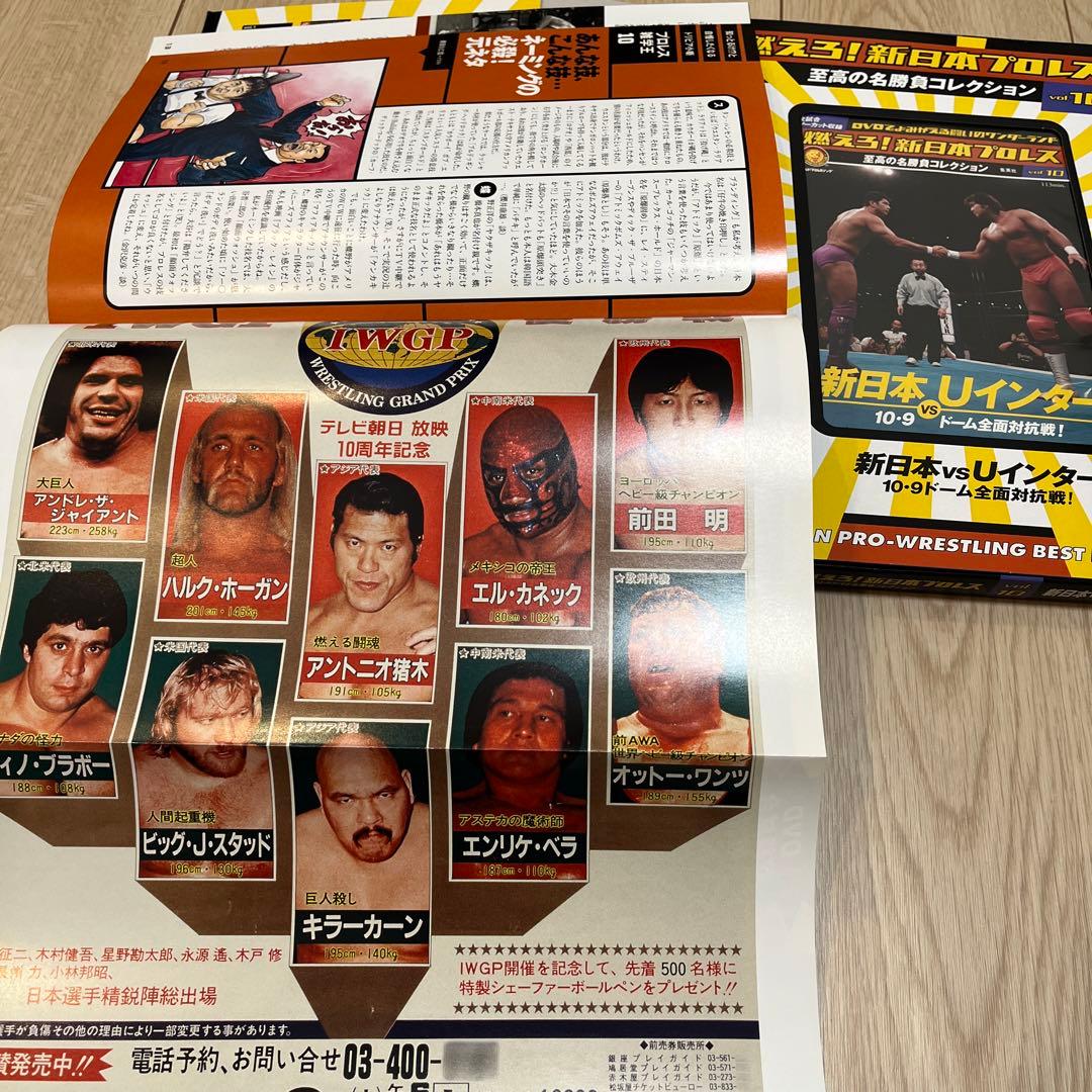 燃えろ！新日本プロレス　新日本vsUインター　10.9東京ドーム