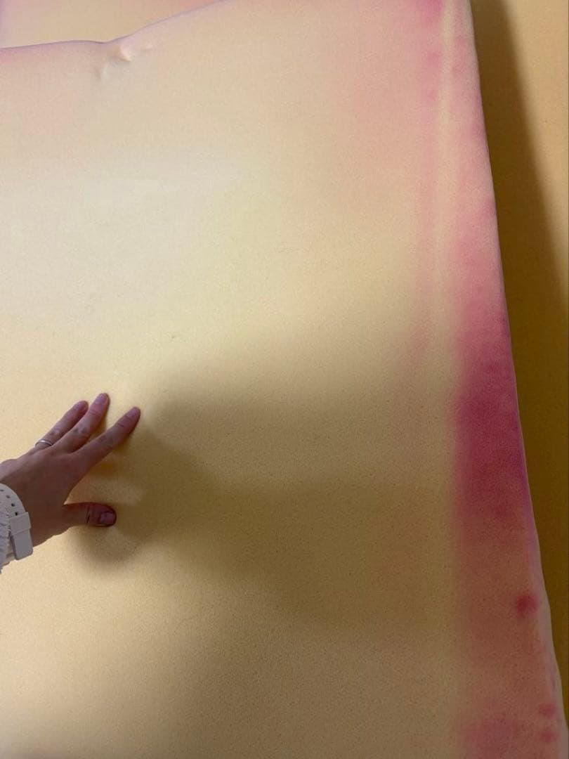 訳あり★トゥルースリーパー　ダブル　専用カバー付き　低反発　マットレス