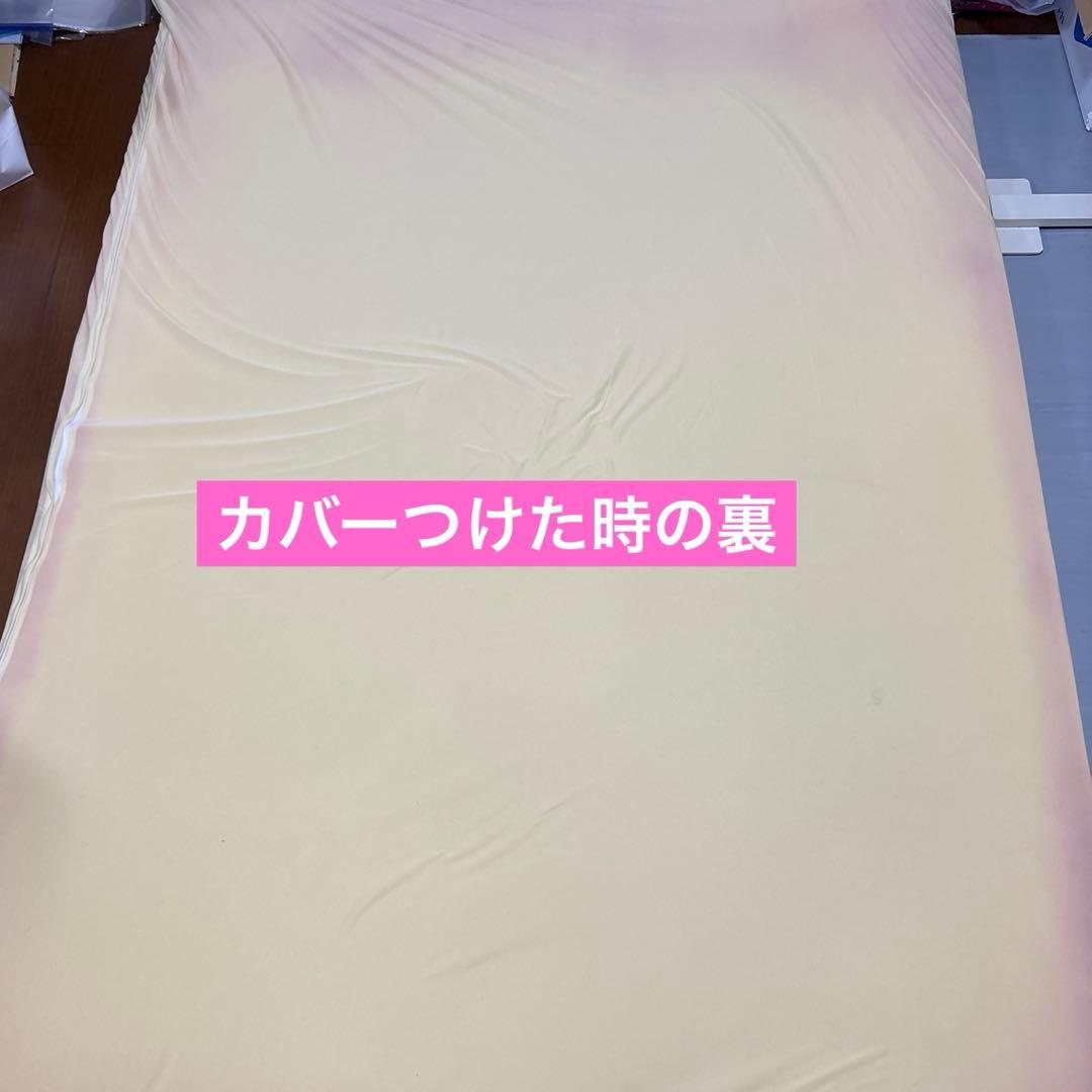 訳あり★トゥルースリーパー　ダブル　専用カバー付き　低反発　マットレス