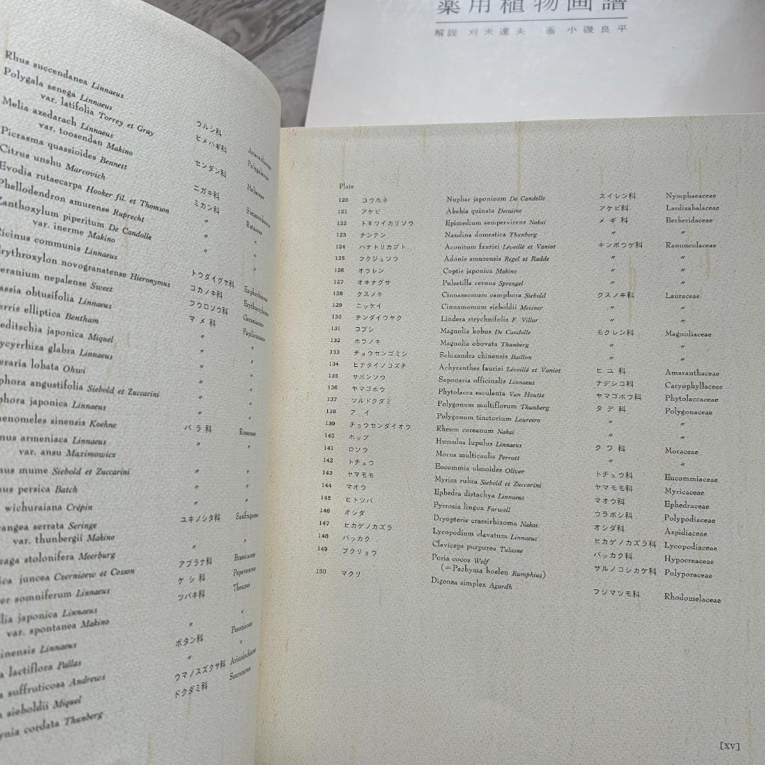 初版！判子＆カバーあり！薬用植物画譜 /小磯良平 刈米達夫 静物画