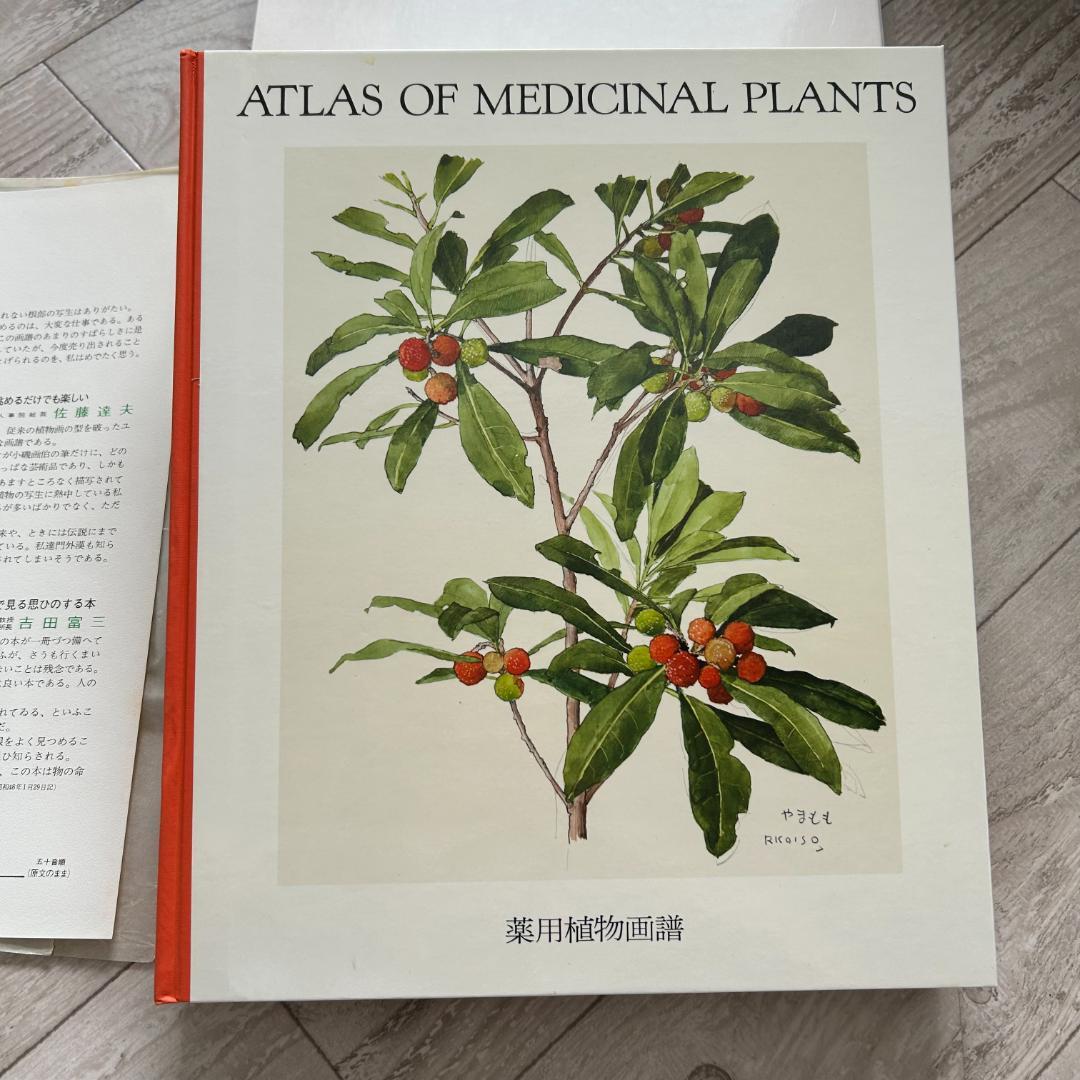 初版！判子＆カバーあり！薬用植物画譜 /小磯良平 刈米達夫 静物画