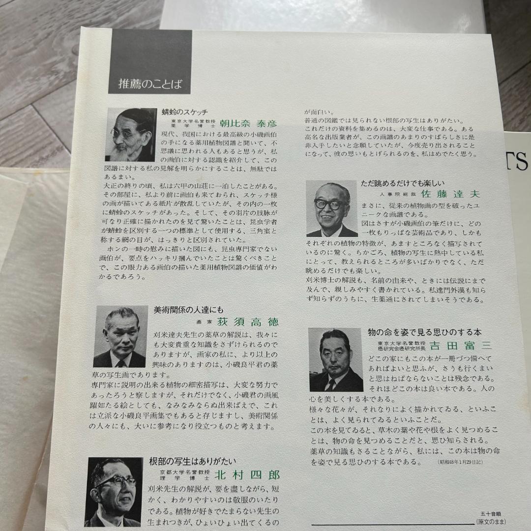 初版！判子＆カバーあり！薬用植物画譜 /小磯良平 刈米達夫 静物画