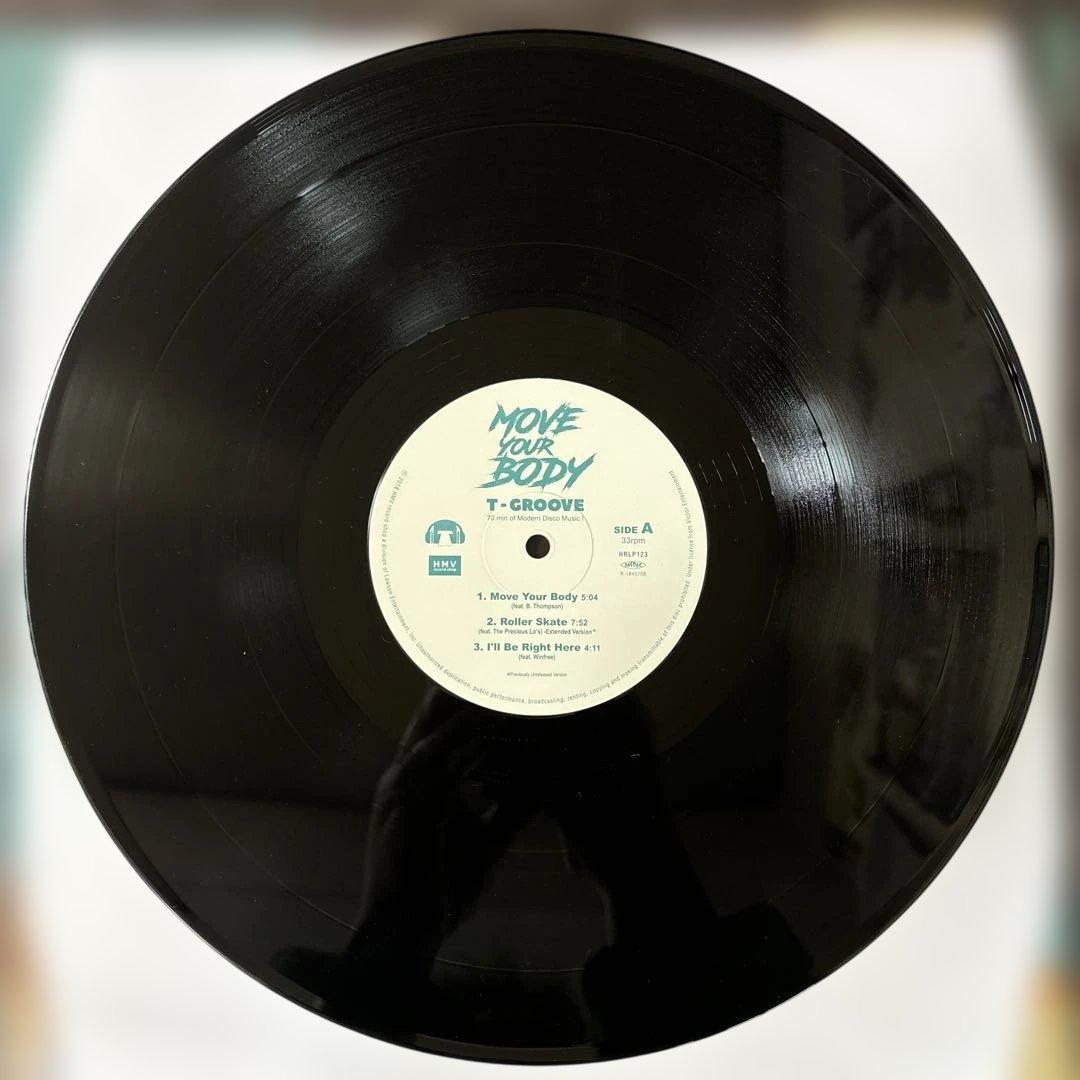 ⭐︎レア盤⭐︎T-GROOVE / MOVE YOUR BODY （美品）