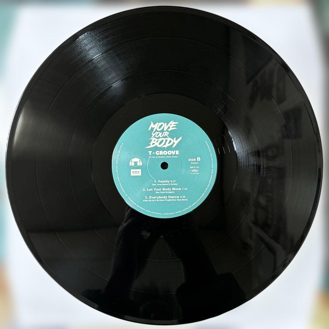 ⭐︎レア盤⭐︎T-GROOVE / MOVE YOUR BODY （美品）