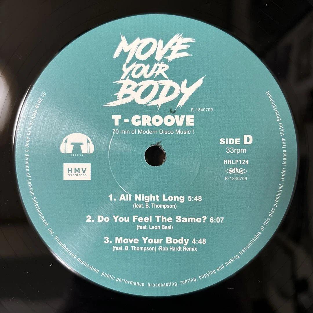 ⭐︎レア盤⭐︎T-GROOVE / MOVE YOUR BODY （美品）