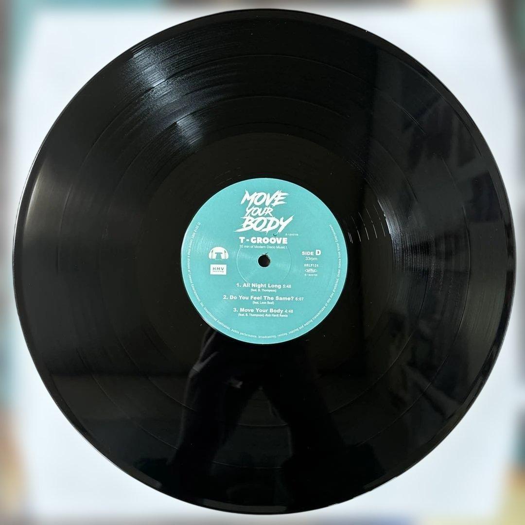⭐︎レア盤⭐︎T-GROOVE / MOVE YOUR BODY （美品）