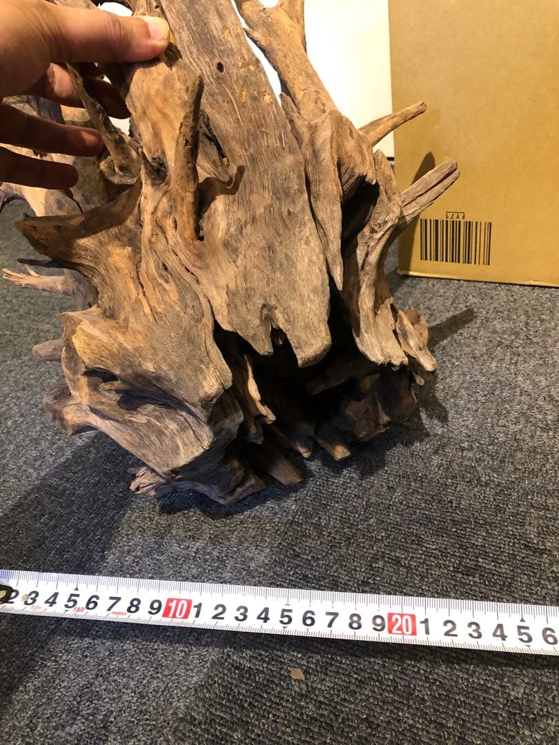 特大流木 水槽用レイアウト用品　現在交渉中