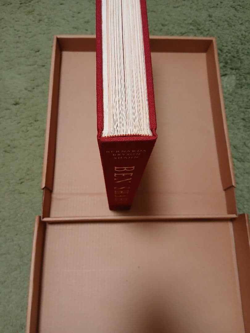 ベンシャーン　画集　リブロポート