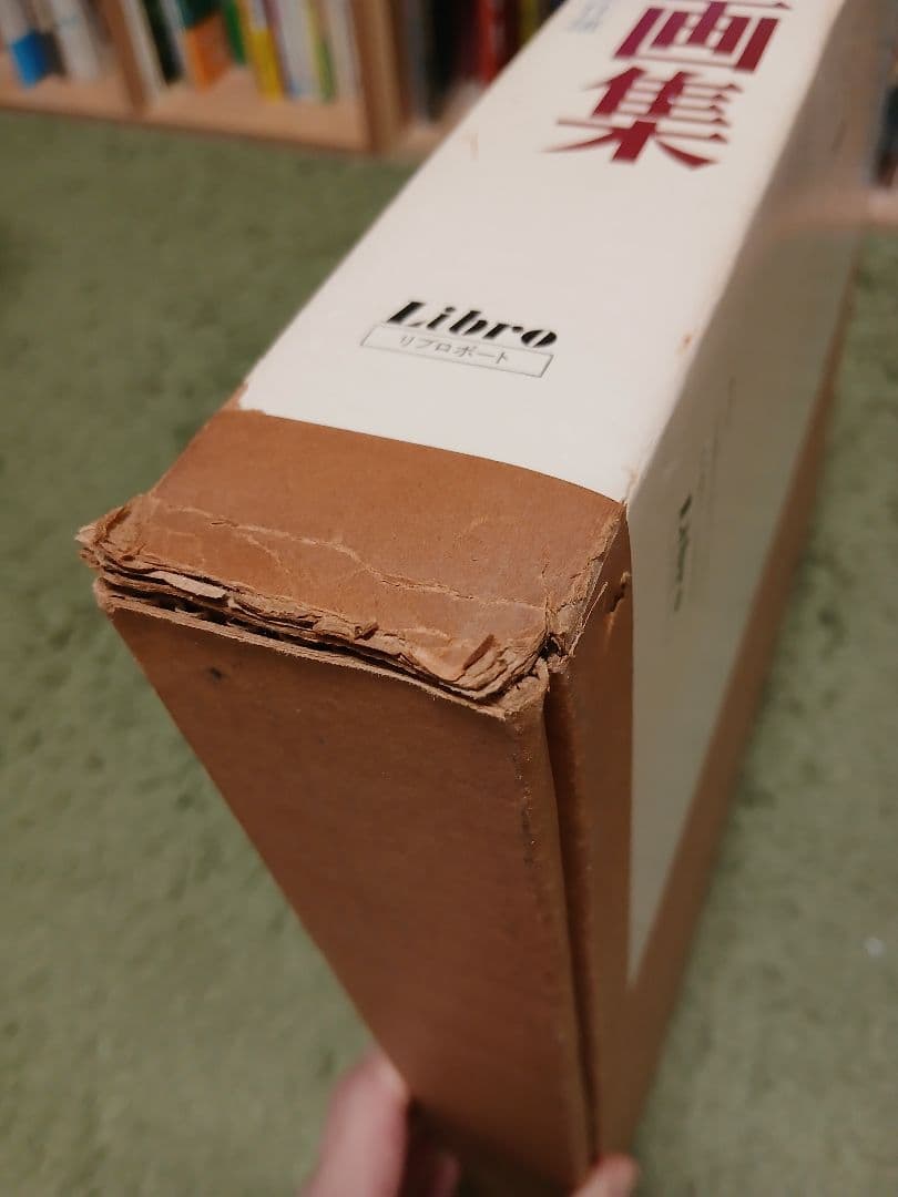 ベンシャーン　画集　リブロポート