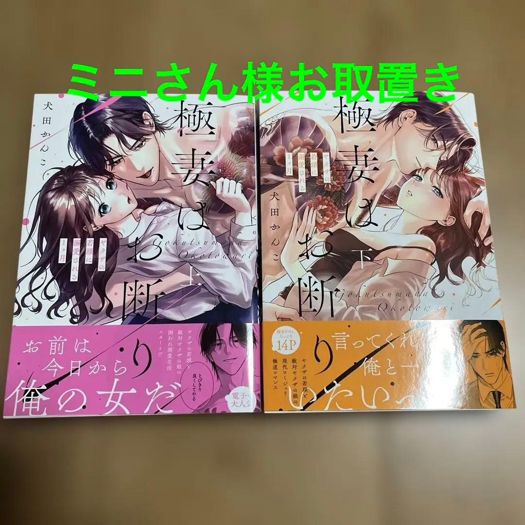 極妻はお断り〜ヤクザの若頭に溺愛される1ヶ月〜上下