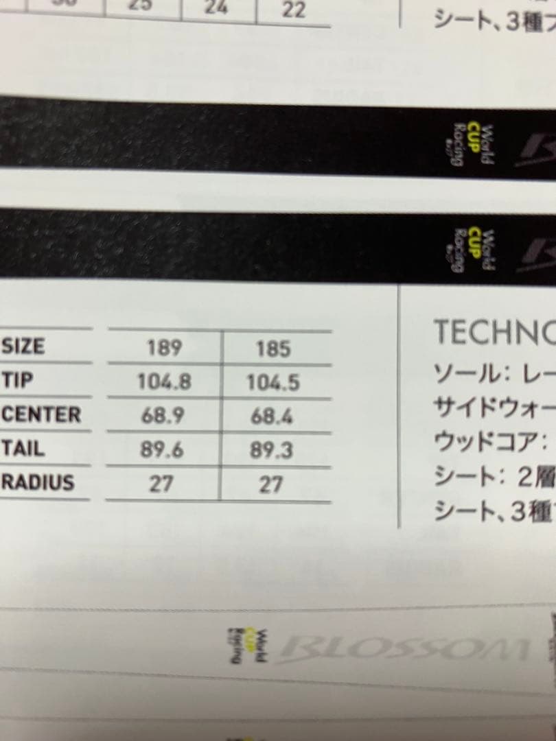 さらに‼️値下げしました‼️希少!ブロッサムスキー カタログ外GSテストスキー！
