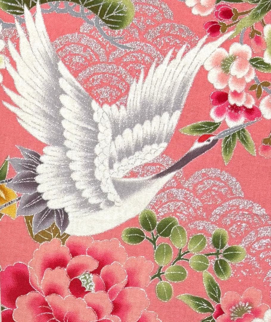 いわん　御朱印ホルダー（小）バンド付　黒台紙×6点