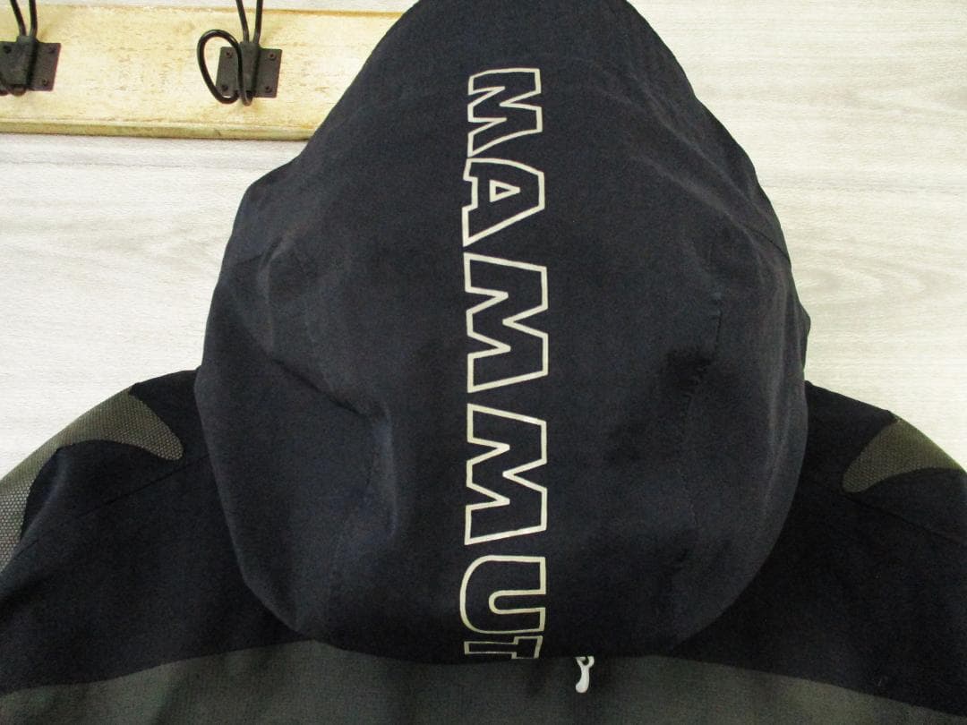 マムート レディース＜ゴアテックス スキースノボーウェア＞Ｍ1769m