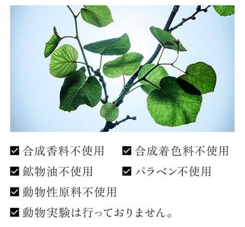 animagaga(プロフ必読)6点セット