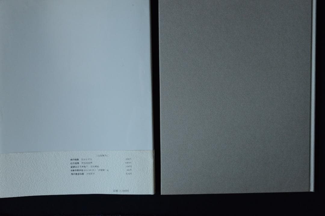 【王たちの肖像－浅草寺堺内】鬼海弘雄　帯付　★★大幅に値下げしました