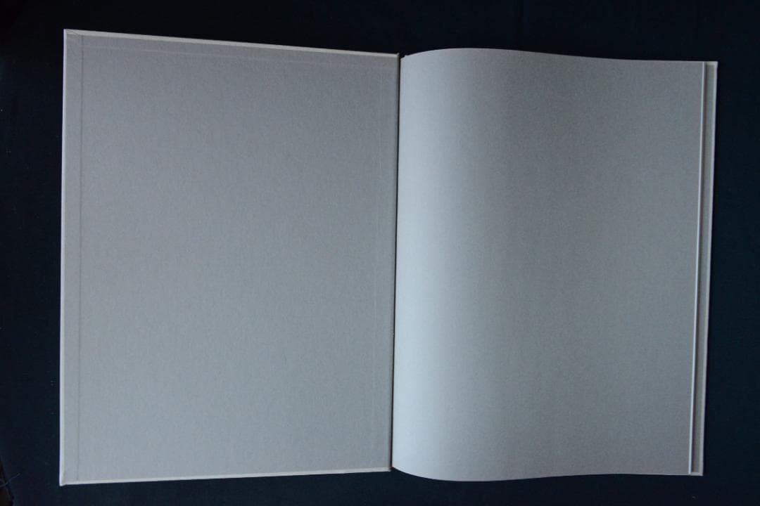 【王たちの肖像－浅草寺堺内】鬼海弘雄　帯付　★★大幅に値下げしました