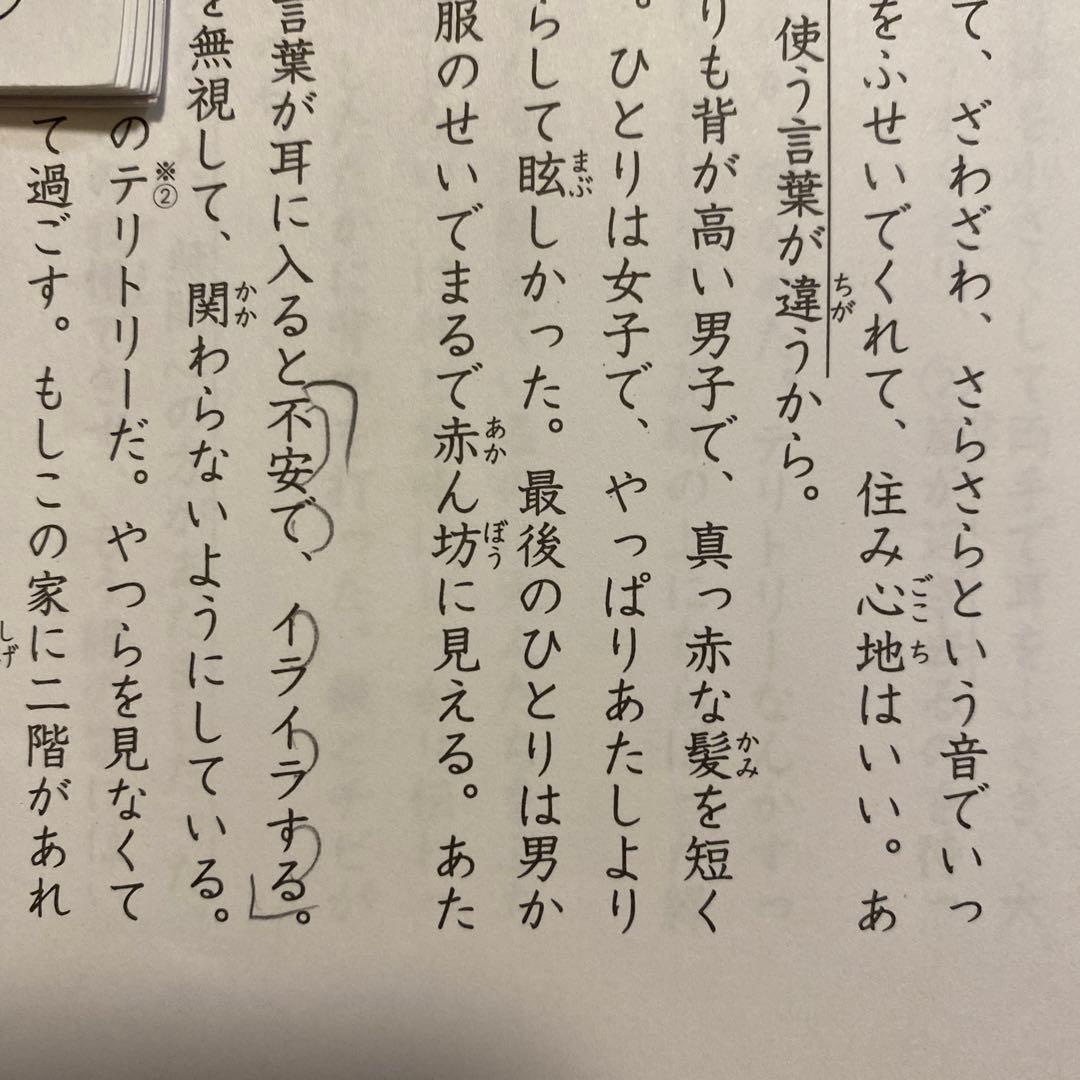 【サピックス　麻布】夏期集中志望校練成特訓　国語