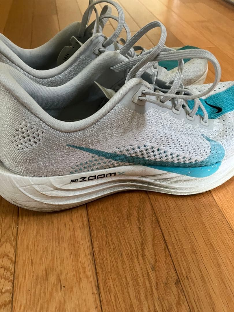 Nike ペガサスプラス 25cm