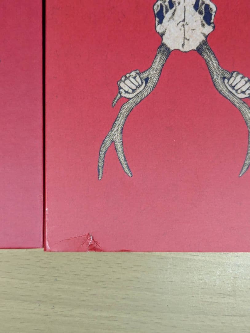 米津玄師 Yankee Bremen　画集盤