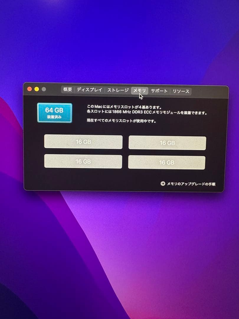 Macデスクトップ Apple Mac Pro 2013 12core 64GB SSD250GB