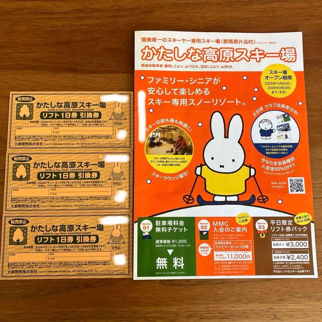 かたしな高原スキー場 リフト1日券✕3枚＋駐車場無料券1枚
