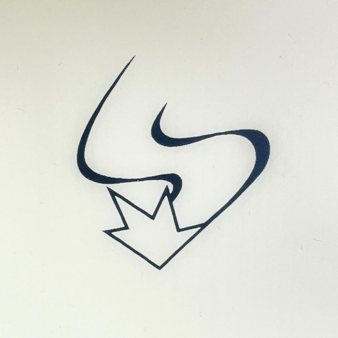 SALOMON Lightbody 200 fr145 145cm バイン付き