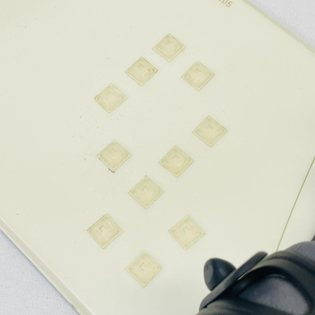 SALOMON Lightbody 200 fr145 145cm バイン付き