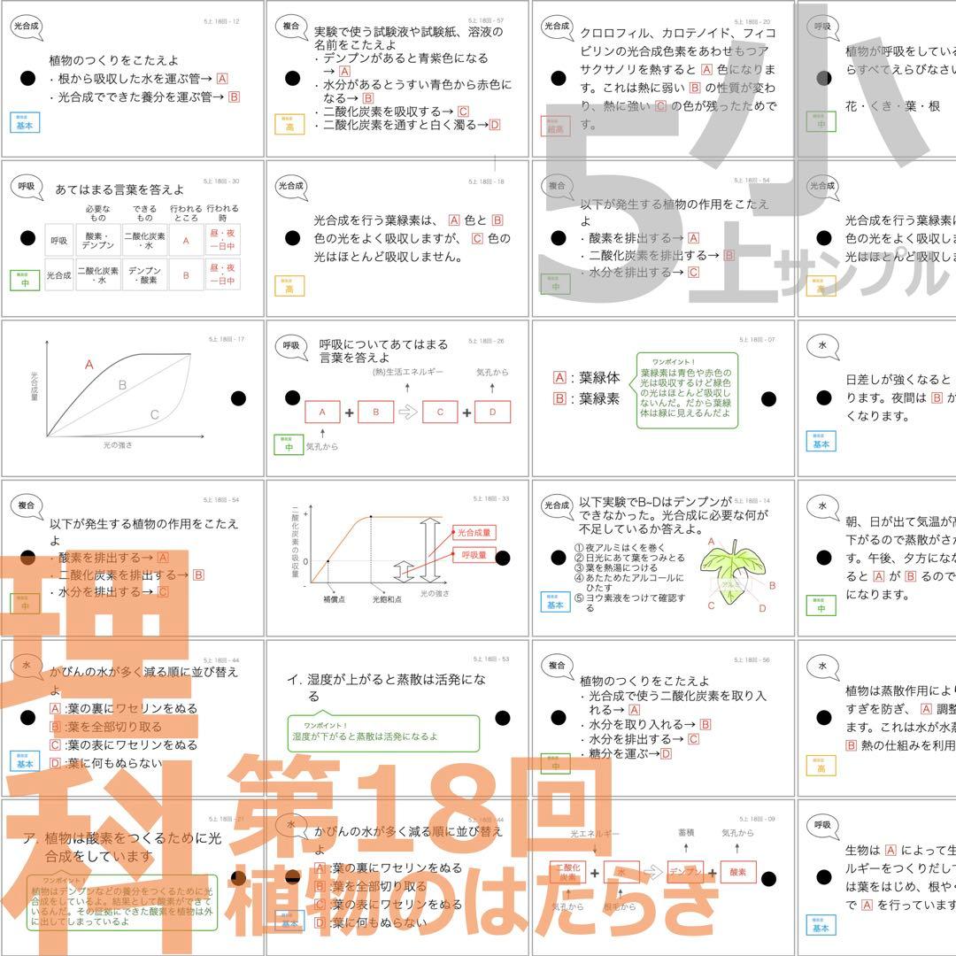 中学受験【5年上 理科 全セット 1-19回】組分けテスト対策 予習シリーズ