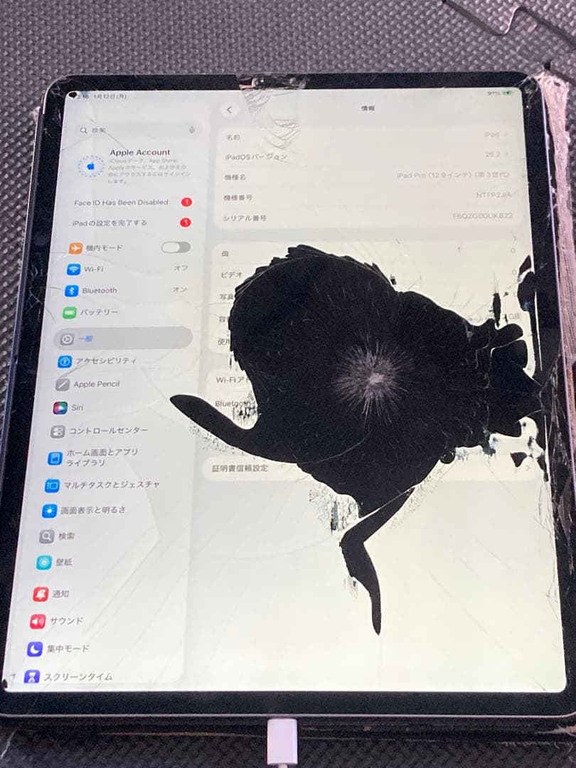 iPad Pro 12.9インチ 第3世代 512GB ジャンク 画面割れ黒シミ