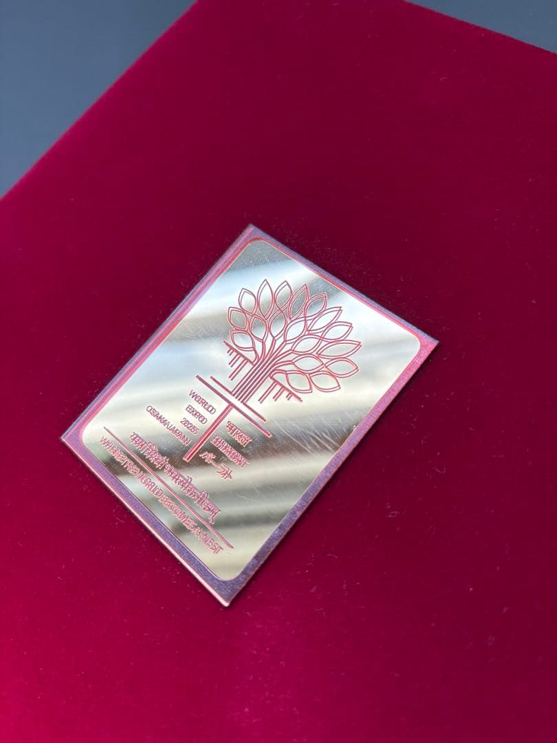 EXPO 2025 大阪万博 BHARAT バーラト <No,919>