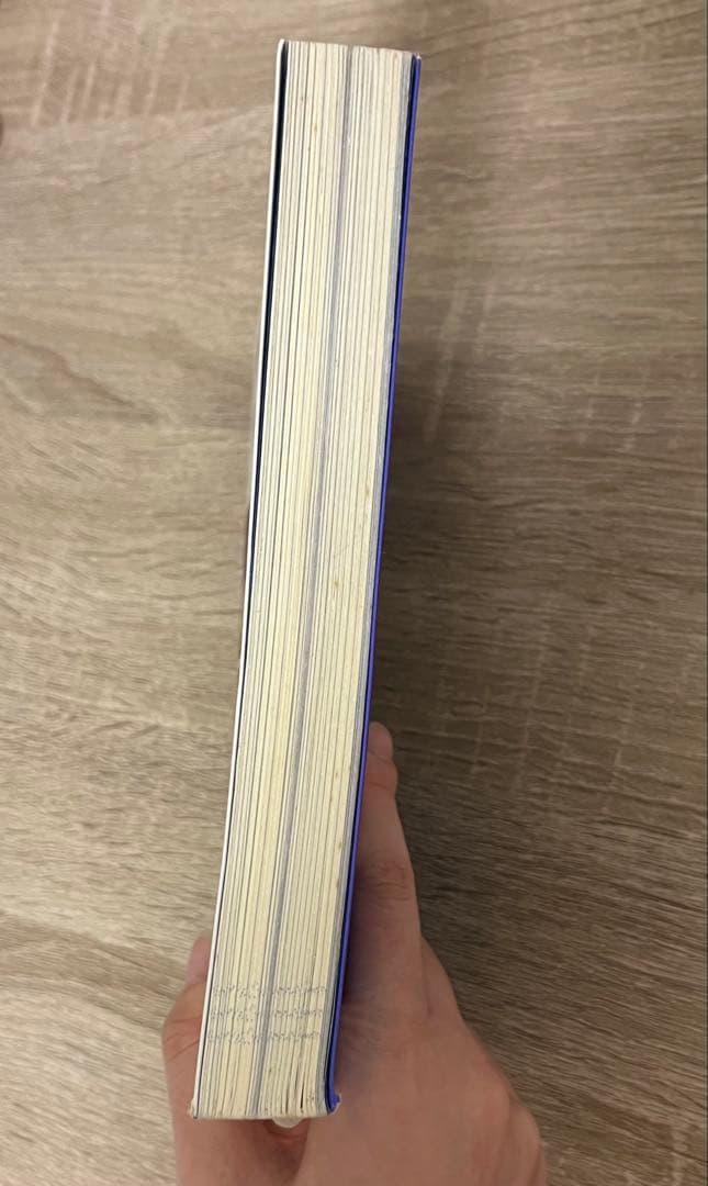 オアシスブラザーズ 　 長兄ポールが語るリアム&ノエル・ギャラガーの真実