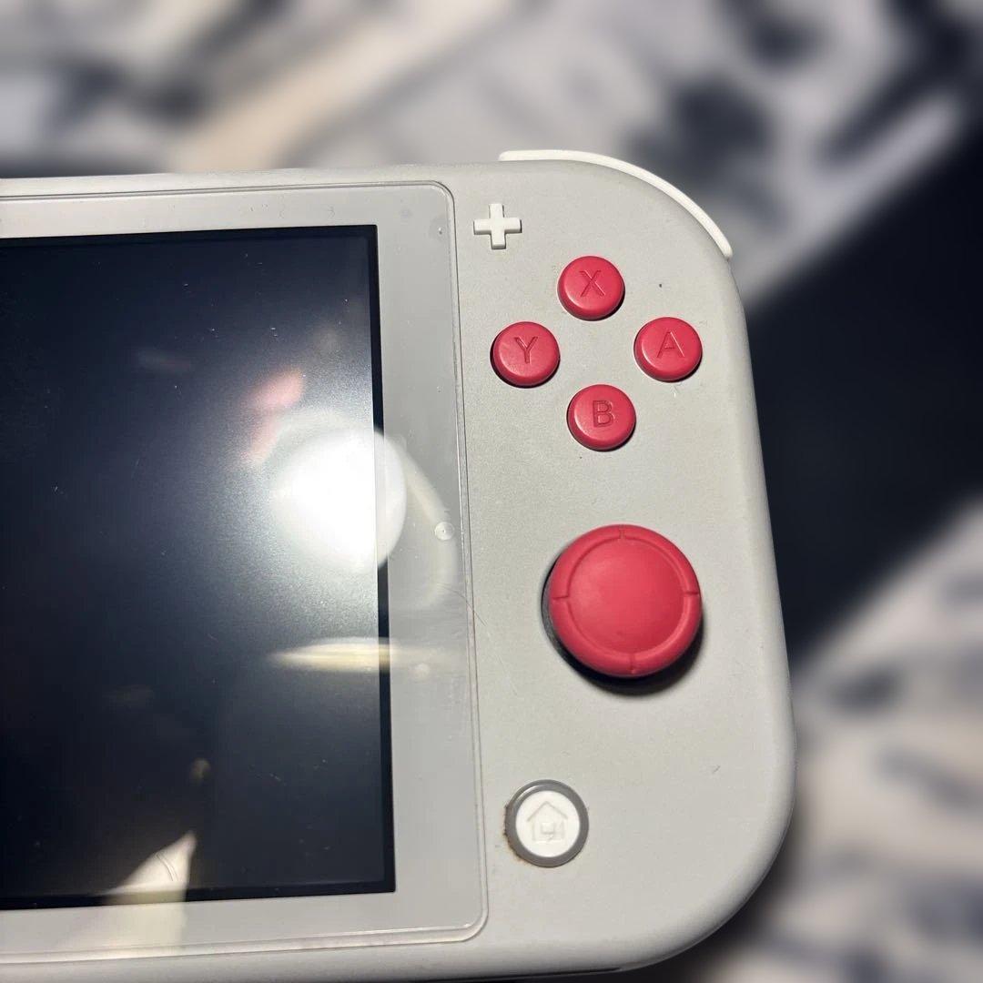 任天堂Switch lite　ザシアン・ザマゼンタモデル　プロコン、スプラ2付き