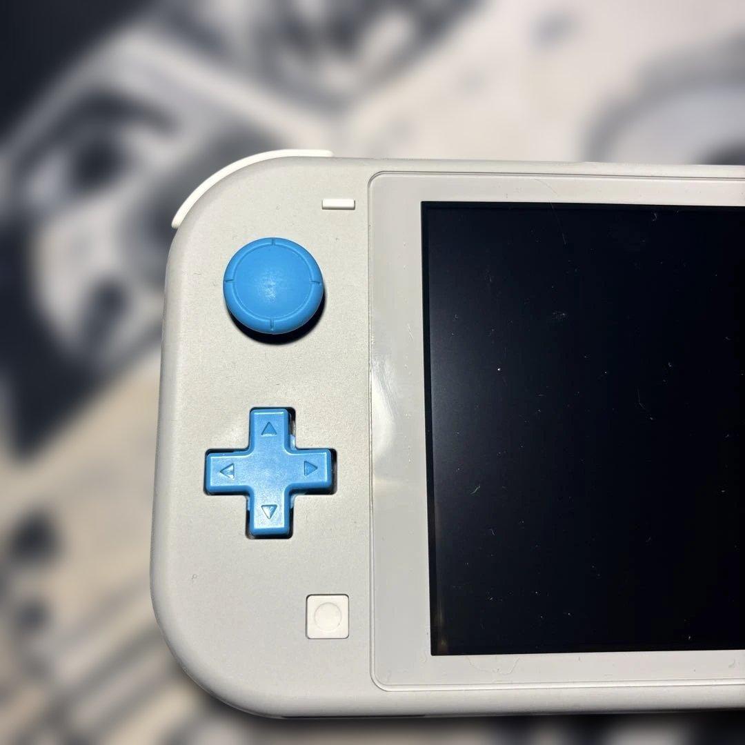 任天堂Switch lite　ザシアン・ザマゼンタモデル　プロコン、スプラ2付き